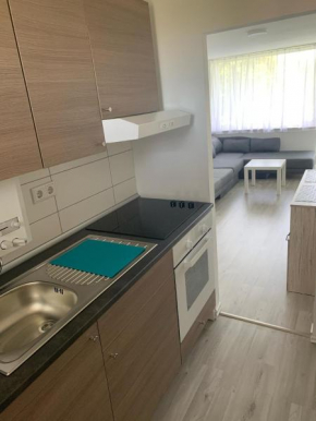 3 Zimmer Messe Wohnung